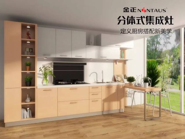 金正橱电分体式集成灶系列xg5详情介绍