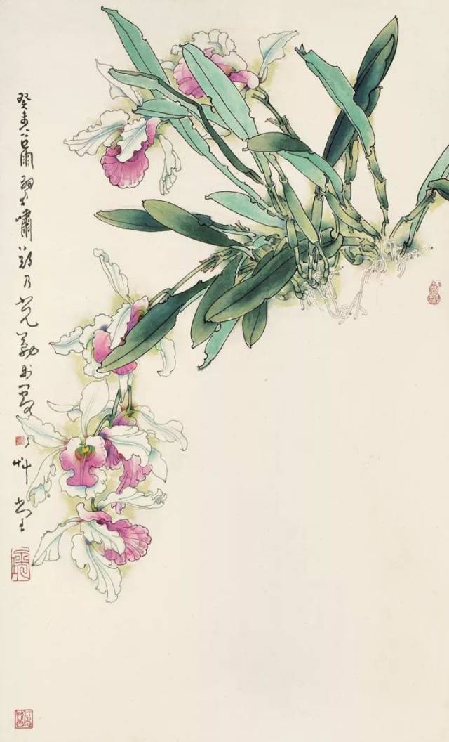 学习素材|郑乃珖花鸟画大全(180幅大图)