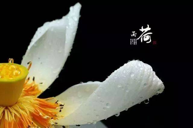 拈花一笑岁月静好