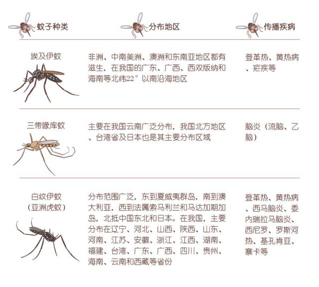 蚊子的四大家族除冈比亚按蚊外,其他三种在我国均有分布,分布情况及