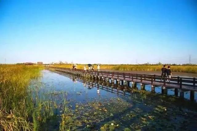 余姚牟山湖湿地前院别墅鱼池图片