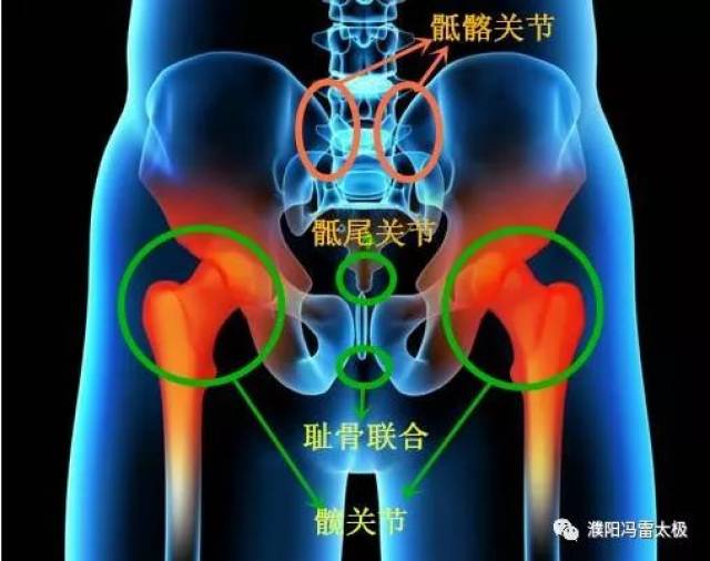 太极拳的任何一个举动,都是"实腿一侧的胯根随转腰的方向,先微旋内收