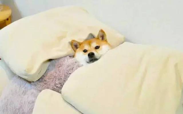 民谣歌单 | 史上最经典的十首民谣