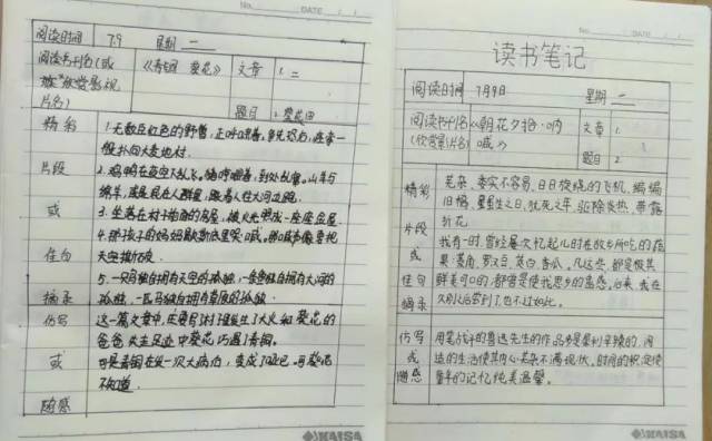 兰底小学单元第三周学生暑假读书活动展示,海量精彩内容!