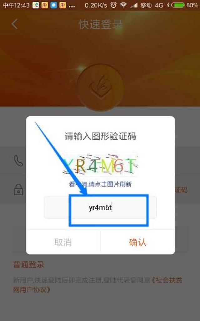 点击"获取验证码",输入字母验证码.