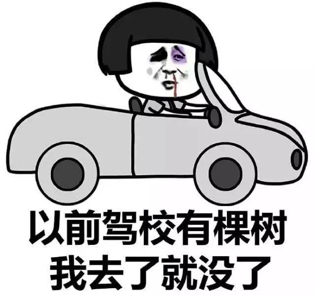 芬兰人人会漂移.