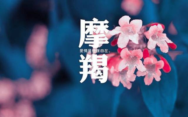十二星座谁最不哄人,白羊座太直接,摩羯座不表达擅长双子座有女人缘图片