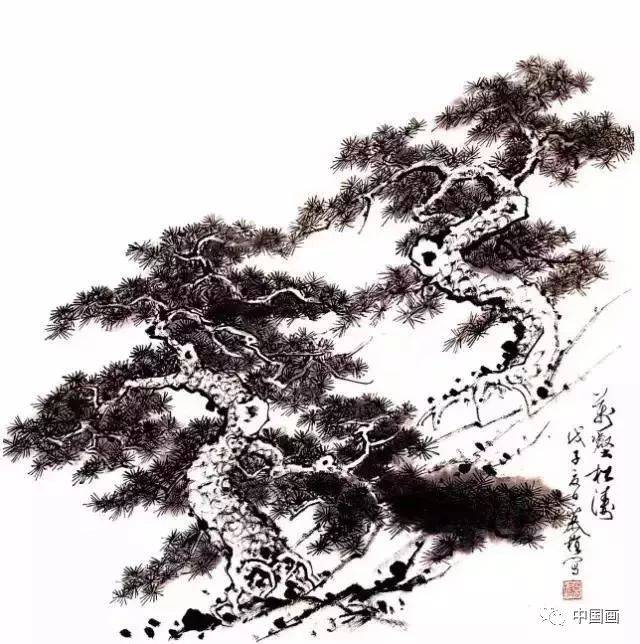 柏树多缠皮,纹理虬曲盘旋而上,犹如龙蛇的蜿蜒起伏,曲折延伸,其粗枝