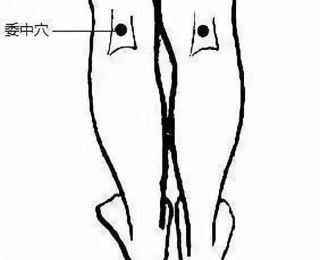 2,腘窝按摩方法:双臂交叉于胸前,双手按对侧腋窝,用手指适度地按摩捏