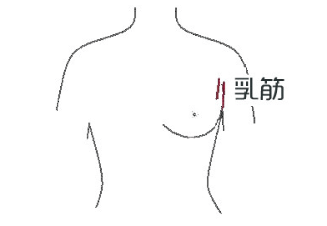 如何练胸大肌的外沿 ea6f2744ccff4cdca86f87aa8fc8207a.jpg