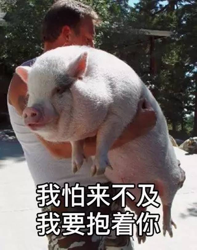 【袁姗姗】 【阿拉蕾】 【吹裙子】 【摇骰子】 【 保存表情 】 【不