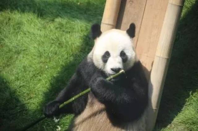 撸高中,跳"串儿舞".钢管行唐图片