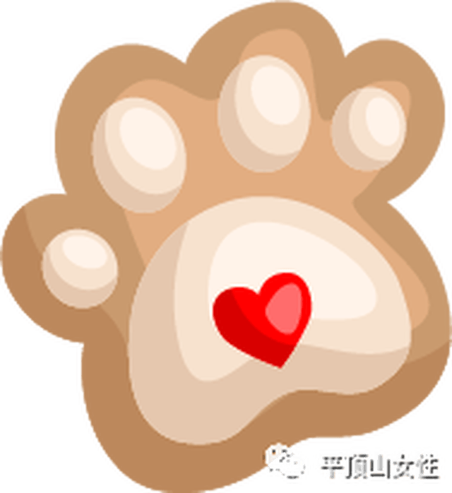 全国妇联《婚姻与家庭》杂志记者来汝州了？听说这里有一个专访...