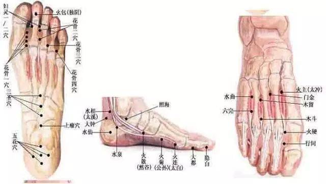 董氏针灸(刺血,倒马,动气与牵引)