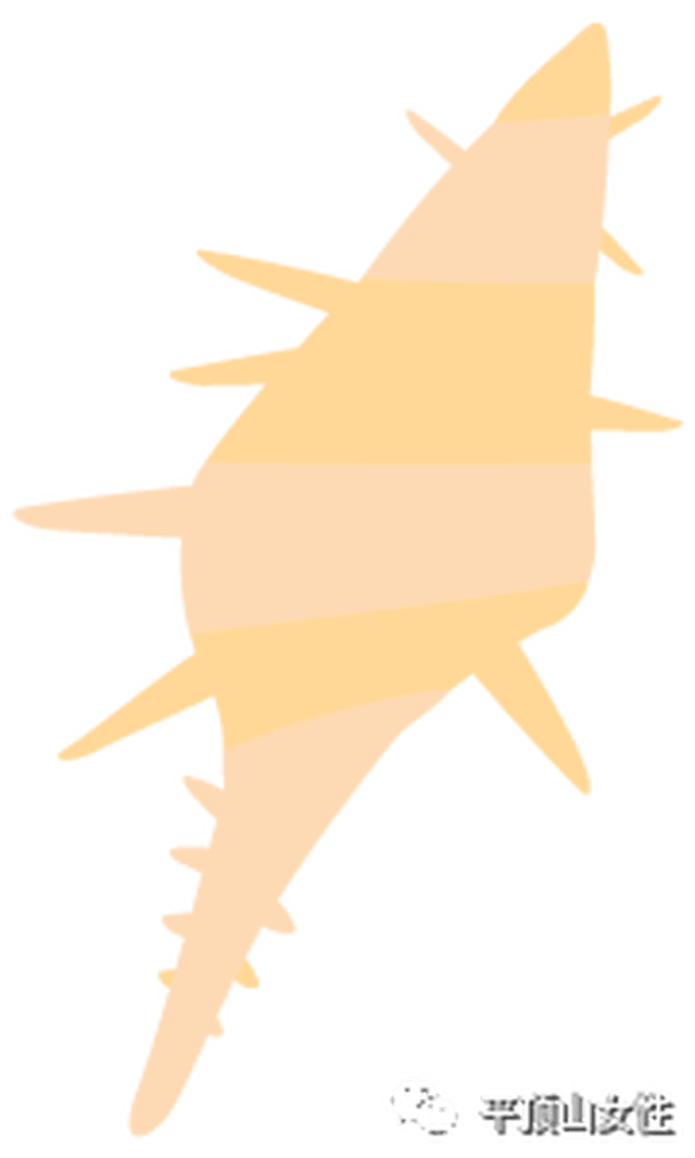 全国妇联《婚姻与家庭》杂志记者来汝州了？听说这里有一个专访...