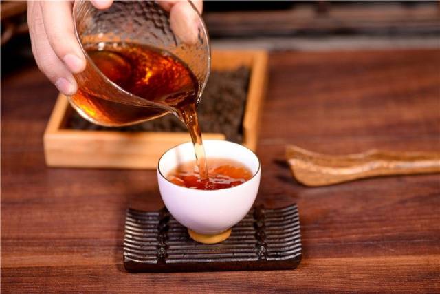 为了能喝上一口好茶，这位山东大哥举家搬到了云南!