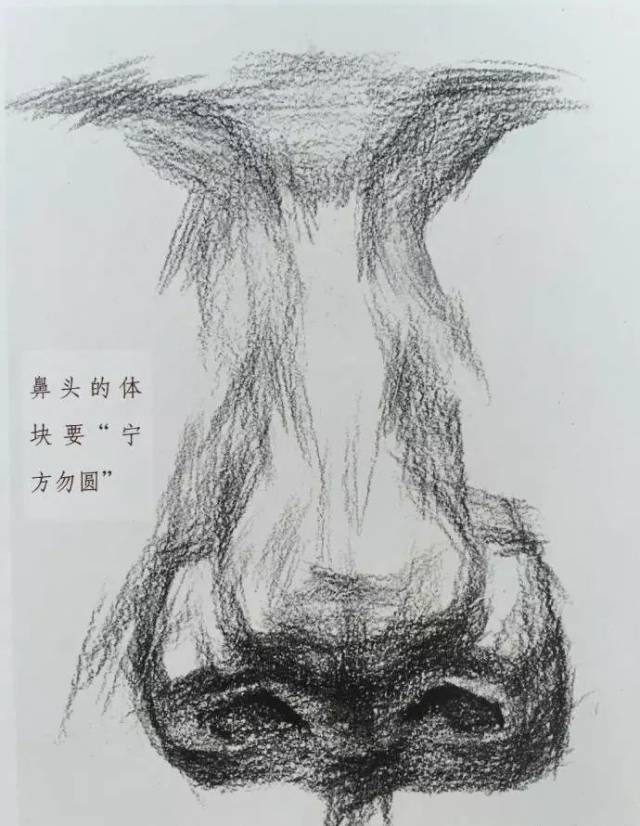 【微课堂 素描人物五官的画法-全方位解析