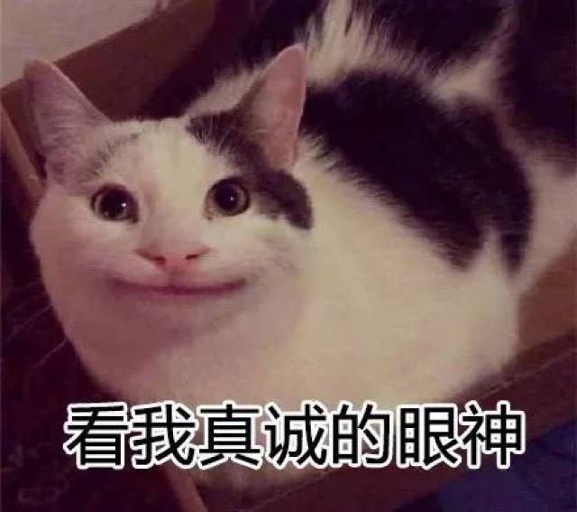 假笑喵撞脸假笑男孩 | 关于笑的英文表达,你知道