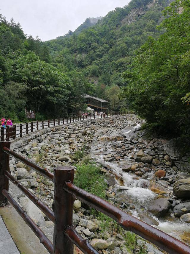 佛坪熊猫谷的清凉泼水节邀您来此"放肆一夏"-旅游频道