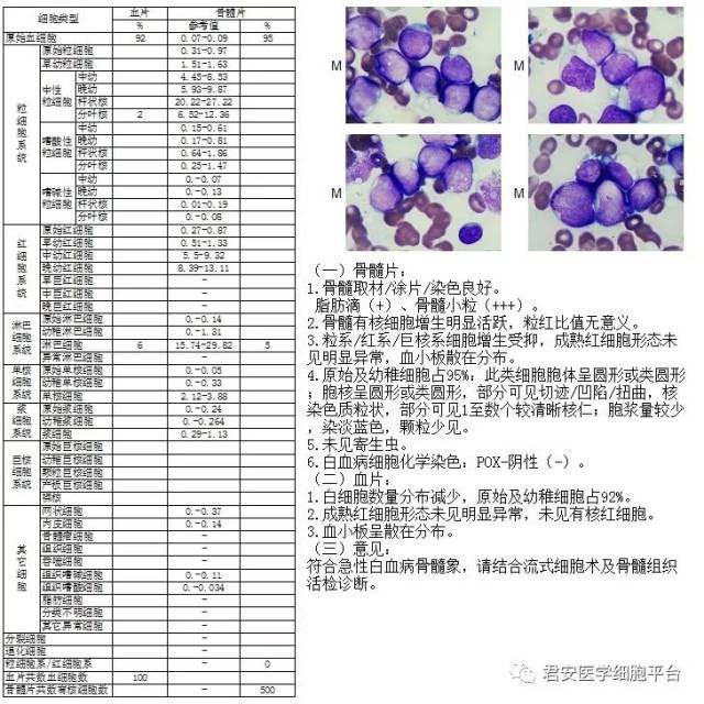 第三方的骨穿报告如下