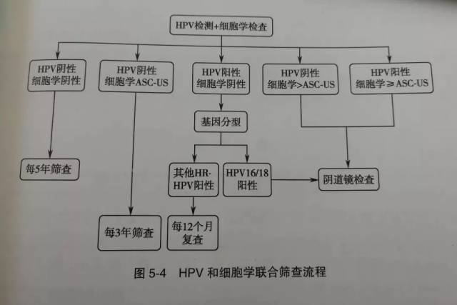 tct hpv联合筛查流程