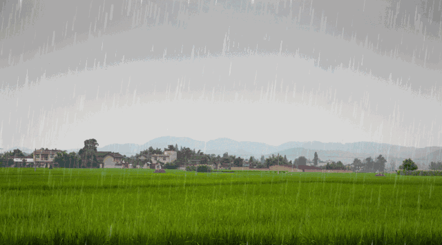 【科普】独家揭秘!人工降雨不是想降就能降,黄石怎么做到的?了解一下