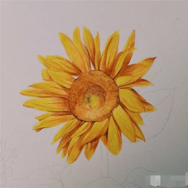 彩铅画自学入门:实例示范教程!零基础怎样开始练习彩铅绘画?