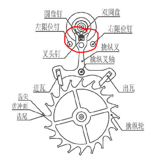 机械表上的鹅颈微调具体是什么装置?你的理解对吗