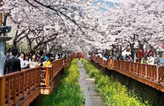 去韩国留学需要什么条件?