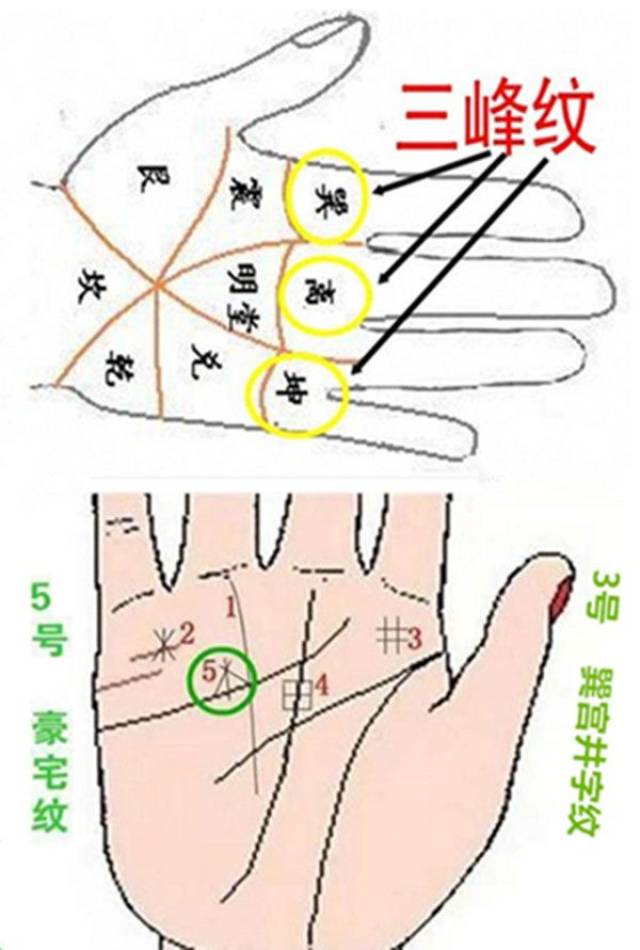 易经看手相:掌中六纹,抓金抓银