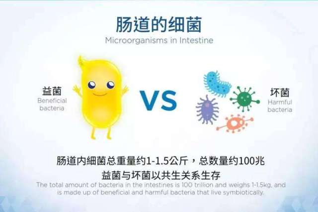 如何保护你的肠道健康?