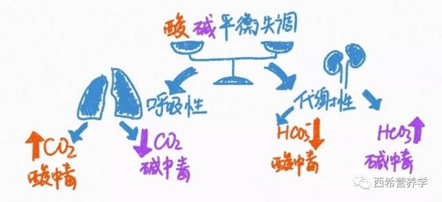 酸碱平衡失调 代谢性酸中毒:组织灌注不足,或者有机酸大量生成如糖尿