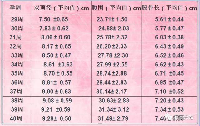 周与胎儿大小对照表,从13周开始,可根据胎儿双顶径,腹围和股骨长来计