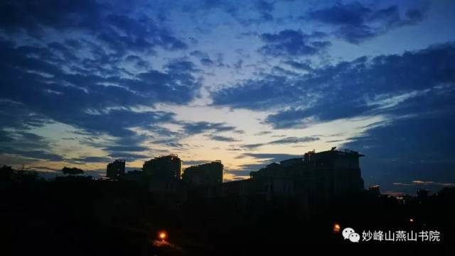 【连载】慧海拾贝辑(24)_手机搜狐网