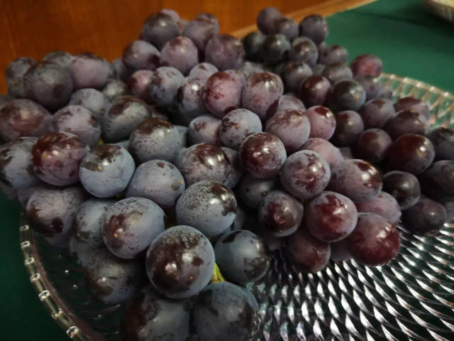 这里的水果又多又好又便宜!2018上海地产优质