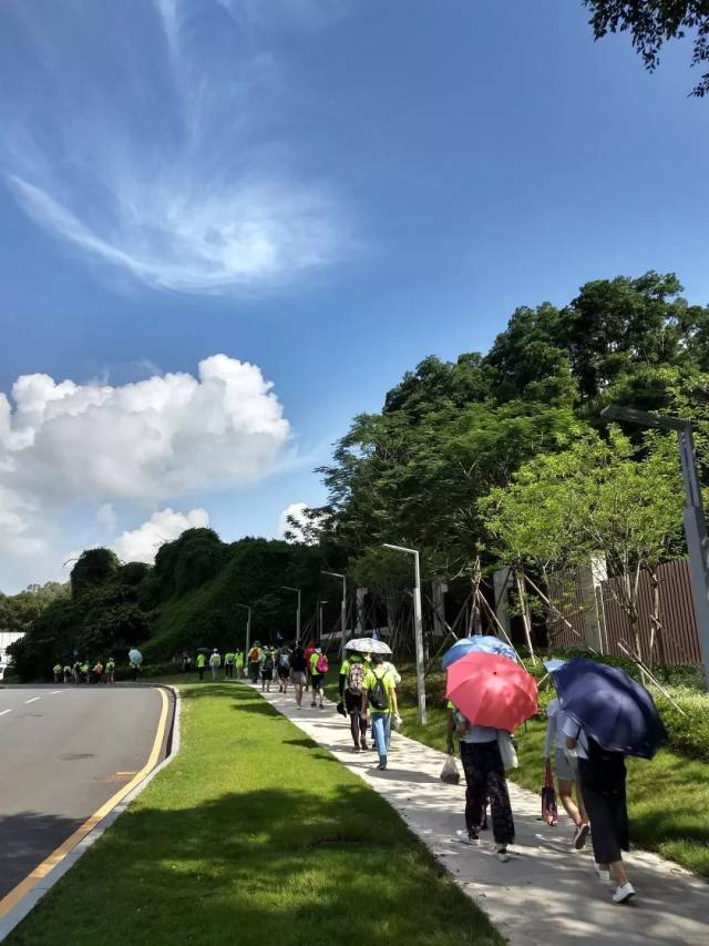 公益行第三站 | 徒步银湖山绿道,于闹市中寻一方宁静!