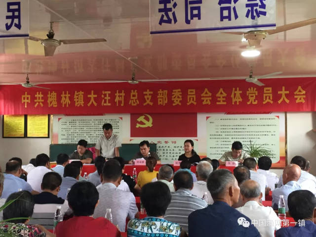 槐林镇各村(社区)圆满完成党组织换届选举工作