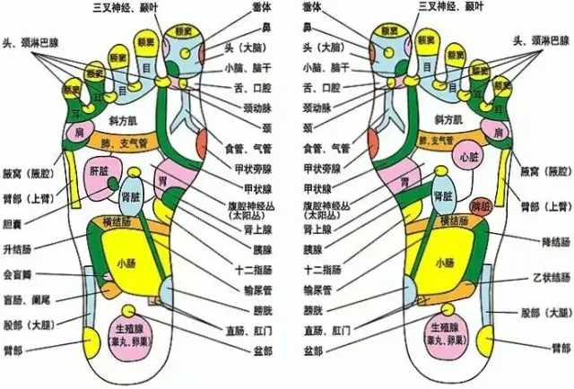 肾经,主宰你一生的健康!这5个穴位,必须灸透!