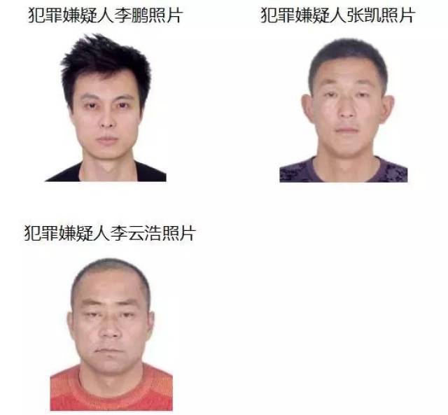 八师石河子市 扫黑除恶专项斗争领导