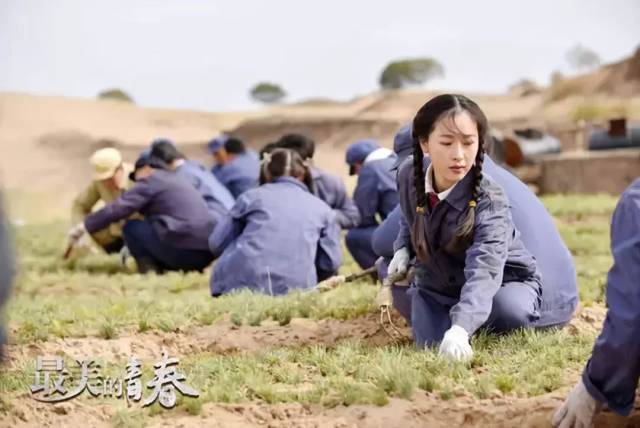 "最美的青春"他们用半生诠释