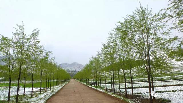 炎炎夏日,去三岔沟体会"小桥流水人家"的韵味