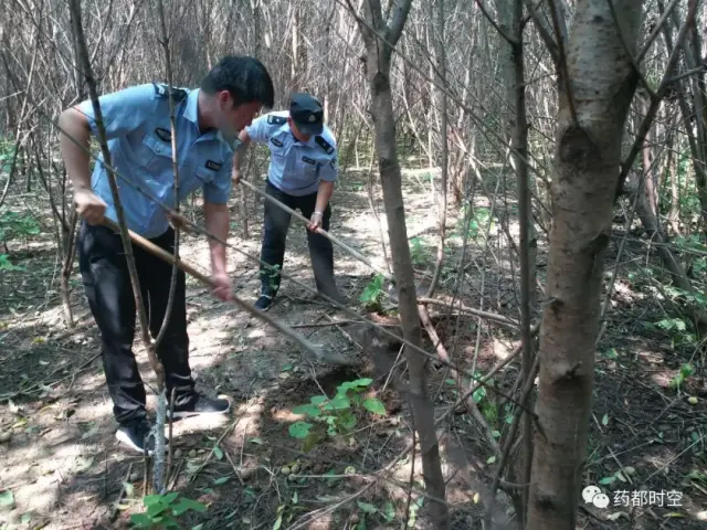 亳州市区一小树林里惊现"女尸",吓傻路人!原来竟是