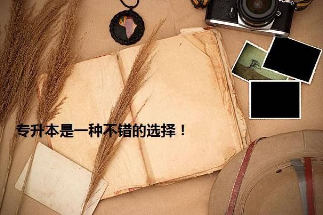 专科生的出路在哪?网友:照样出人头地!专科生