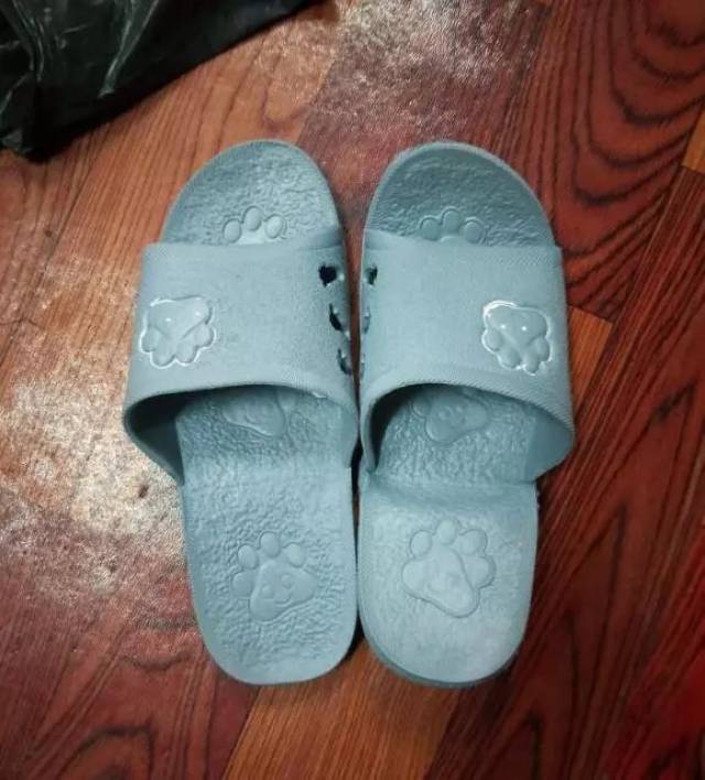 今天不拍照只搞笑!感谢拼多多,带给我欢乐!