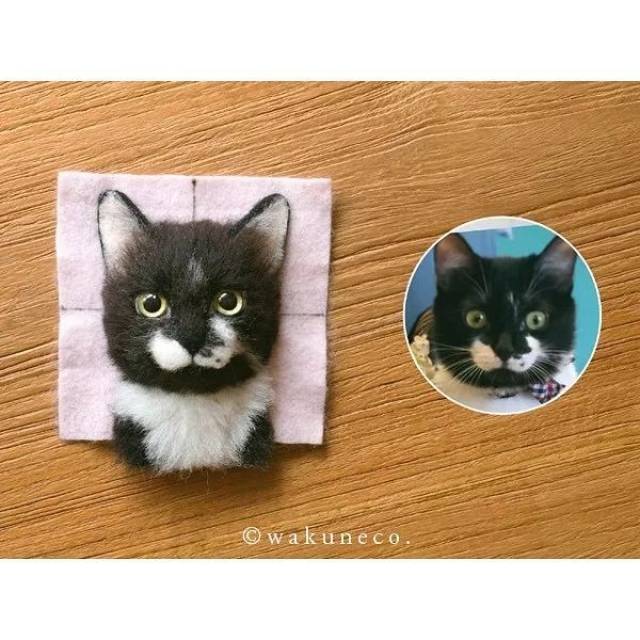 残忍的猫标本?no!这个是.