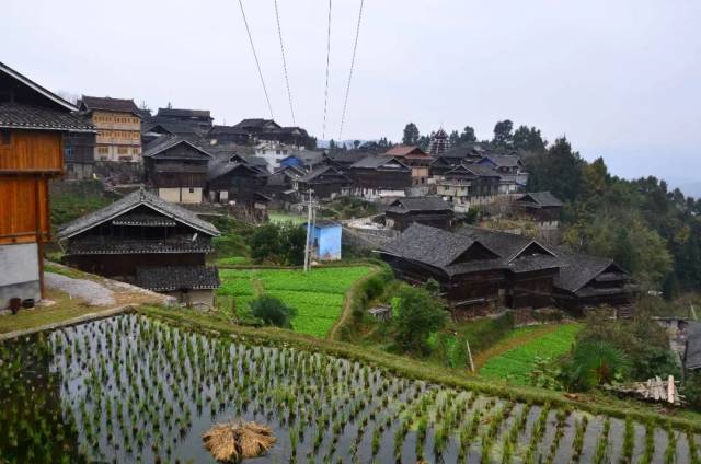 贵州这个小村庄,风景秀丽民风淳朴,是贵州农村的缩影