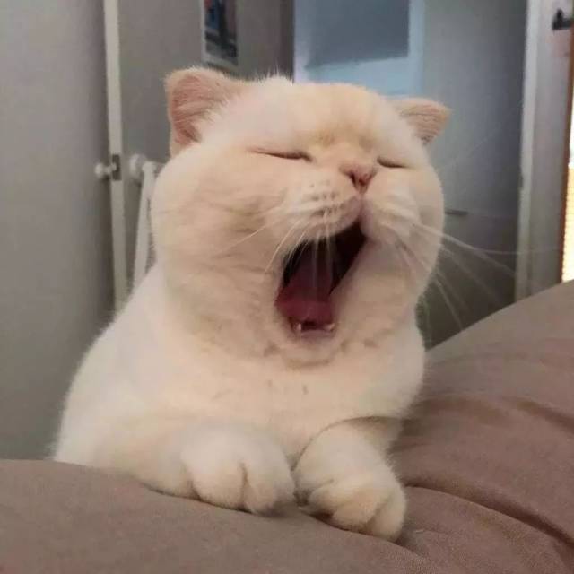 每日头像 | 不要怕 有我在