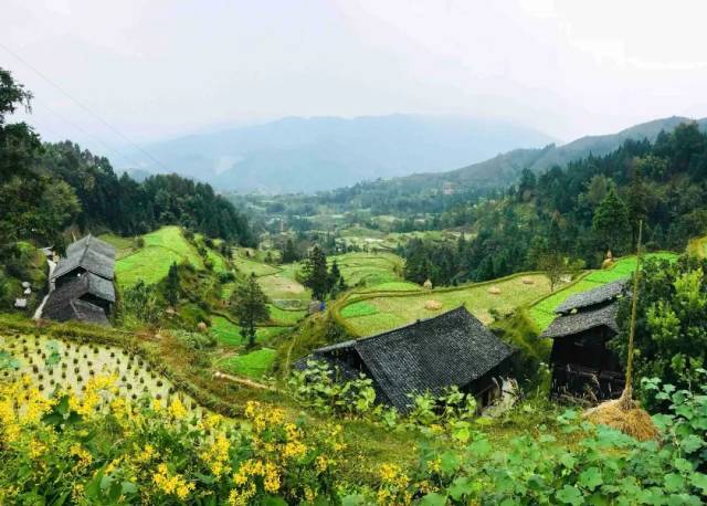 贵州这个小村庄,风景秀丽民风淳朴,是贵州农村的缩影