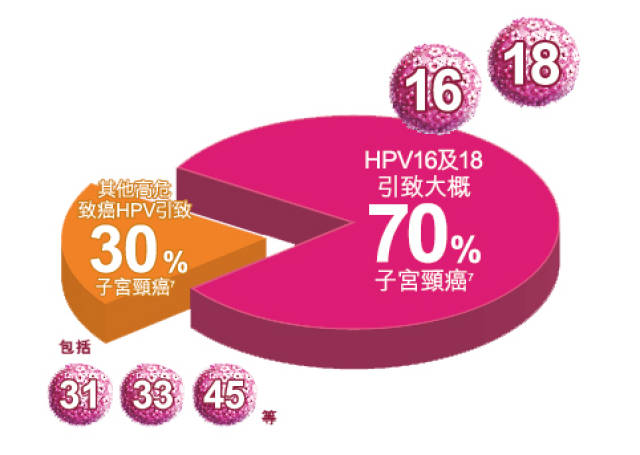 感染hpv,给免疫系统套上3种