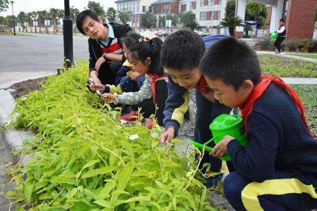 松江区新闵小学:和美师生,共同成长!